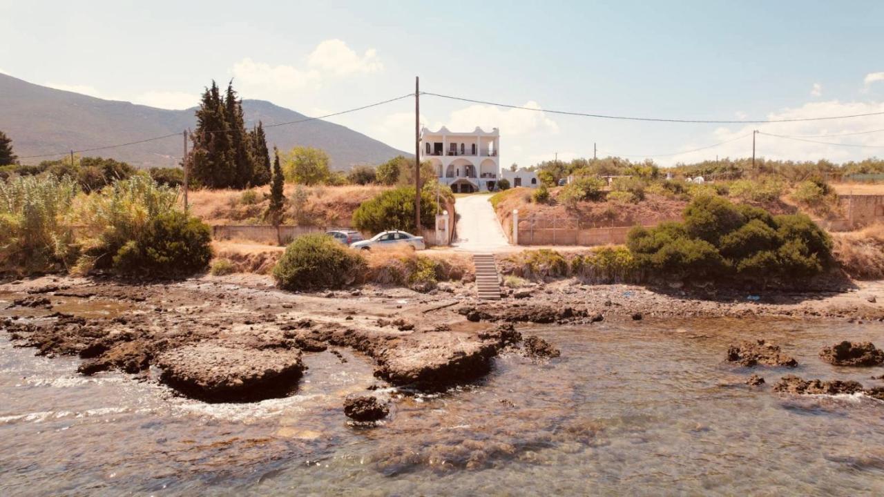 شقة Magic House At Halkida 1M From The Beach! Chalkís المظهر الخارجي الصورة